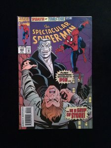 Spectacular Spider-Man #205  Marvel Comics 1993 VF/NM
