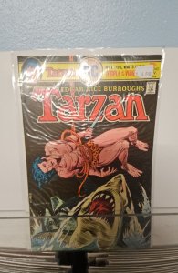 Edgar Rice Burroughs' Tarzan #243 (1975)