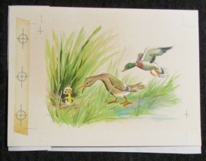 HAPPY EASTER Beautiful Ducks & Duckling 7x5 Greeting Card Art #2216