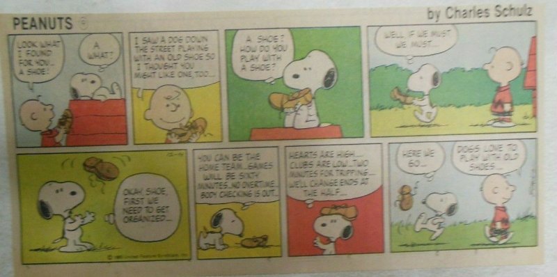 (49) Peanuts Sunday Pages by Charles Schulz from 1980 Size: ~7.5 x 14 inches  