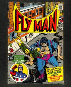 Adventures of the Fly #34