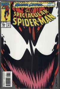 The Spectacular Spider-Man #203 (1993) Spider-Man