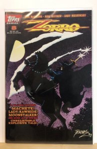 Zorro #8 (1994)