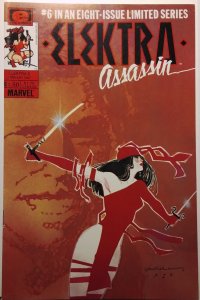 Elektra: Assassin #6 (1987)