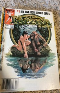 Tarzan of the Apes #1 (1984) Tarzan 