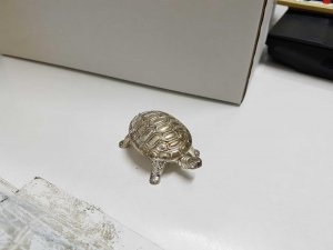 Pastillero de metal con forma de tortuga