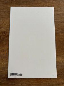 Spawn # 329 NM 1st Print Variant Cover Image Comic Book Todd McFarlane 1 J288