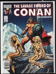 The Savage Sword of Conan #100 (1984) Conan