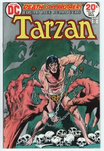 TARZAN #224 - 5.5 - WP - Kubert