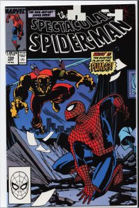 The Spectacular Spider-Man #154 (1989) Spider-Man