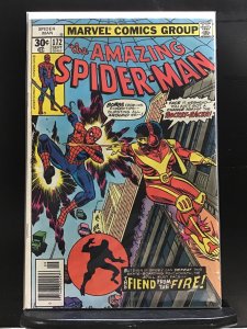 The Amazing Spider-Man #172 (1977)j