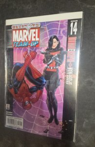 Ultimate Marvel Team-Up #14 (2002)