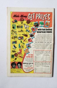 The Defenders #13  (1974)