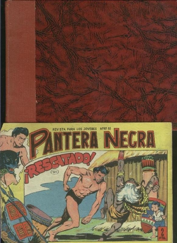 Pantera Negra coleccion