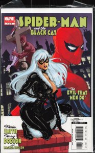 Spider-Man/Black Cat: The Evil that Men Do #4 (2006) Spider-Man