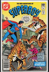 The New Adventures of Superboy #13 (1981) Superboy