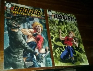 COMPLETE SET BADGER SHATTERED MIRROR #1-4 1994 DARK HORSE COMICS lot run series