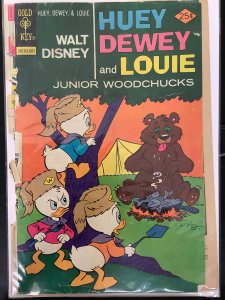 Huey, Dewey and Louie Junior Woodchucks #37 (1976)