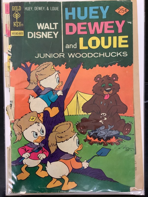 Huey Dewey And Louie Junior Woodchucks 37 1976 Comic Books