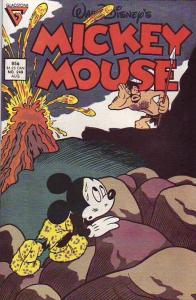 Mickey Mouse, Walt Disney's #249 (Aug-89) NM/NM- High-Grade Mickey Mouse, Goofy