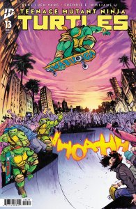 Teenage Mutant Ninja Turtles #13 Cover E DW Johnson