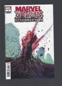 Marvel Zombies: Resurrection #1 Variant (2019)