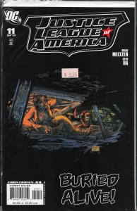 Justice League of America #11 (2007) Vixen