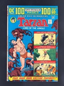 Edgar Rice Burroughs' Tarzan #230 (1974)