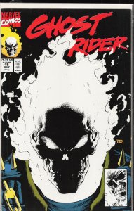 Ghost Rider #15 (1991) Ghost Rider