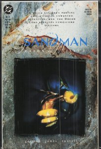 The Sandman #24 (1991) Sandman