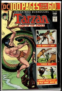 Edgar Rice Burroughs' Tarzan #232 (1974)