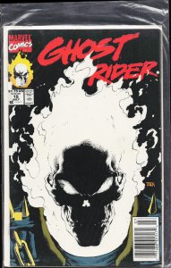 Ghost Rider #15 (1991) Ghost Rider