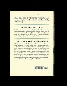 3 Books Inside Pop, The Lone Eagle, Son of the Black Stallion JL6