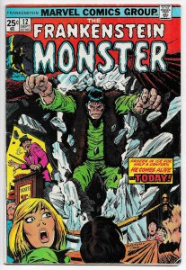 Frankenstein Monster #12 | MVS Intact (Marvel)