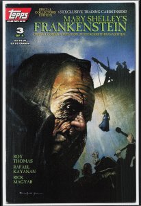 Mary Shelley's Frankenstein #3 (1994) Frankenstein