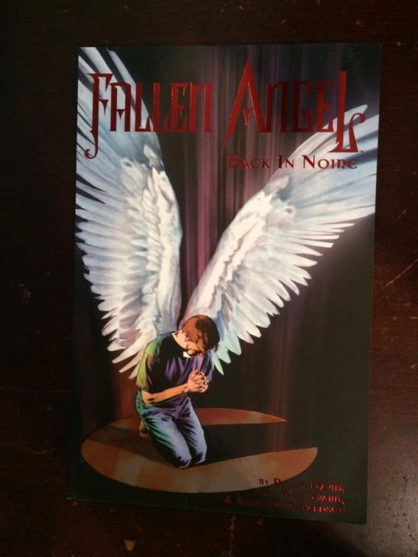 Fallen Angel Vol 3 Back In Noire Tpb IDW