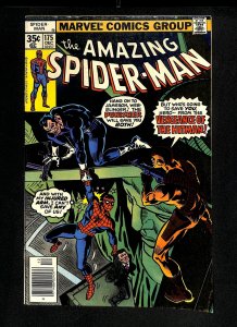 Amazing Spider-Man #175 Punisher!