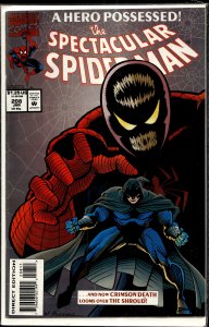 The Spectacular Spider-Man #208 (1994) Spider-Man