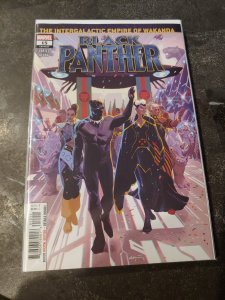 Black Panther #15 (2019)