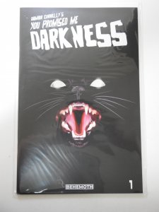 You Promised Me Darkness #1 Third Printing (2021)