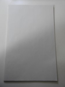 DC VS. Vampires Blank Sleeve Cover