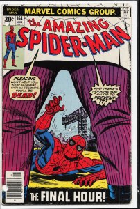 The Amazing Spider-Man #164 (1977) Spider-Man