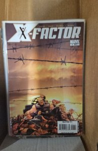 X-Factor #17 (2007)