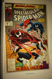 The Spectacular Spider-Man #201 (1993)