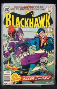 Blackhawk #250 (1977)