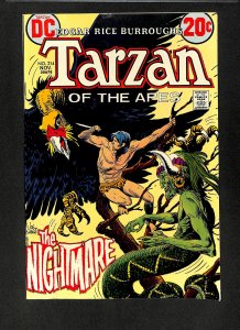 Tarzan #214