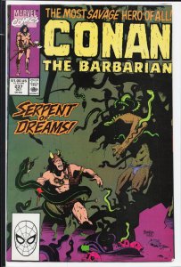 Conan the Barbarian #237 (1990) Conan