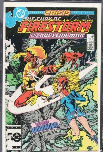 The Fury of Firestorm #41 (1985) Firestorm