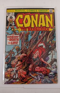 Conan the Barbarian #41 (1974)