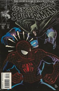 The Spectacular Spider-Man #207 Direct Edition (1993) - NM